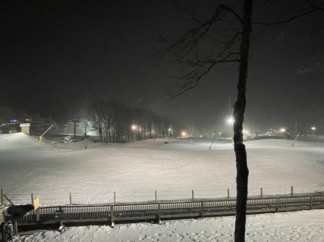 Wintergreen Resort主图