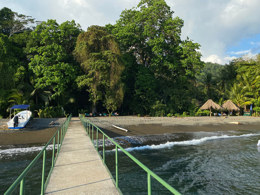 普拉亚尼库伊萨雨林旅馆主图