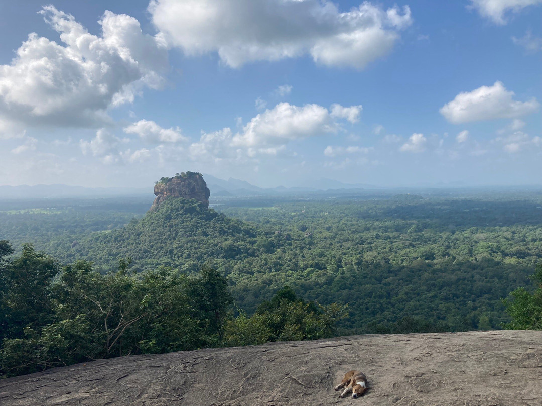 Serendipity Tours-班托塔必去景点