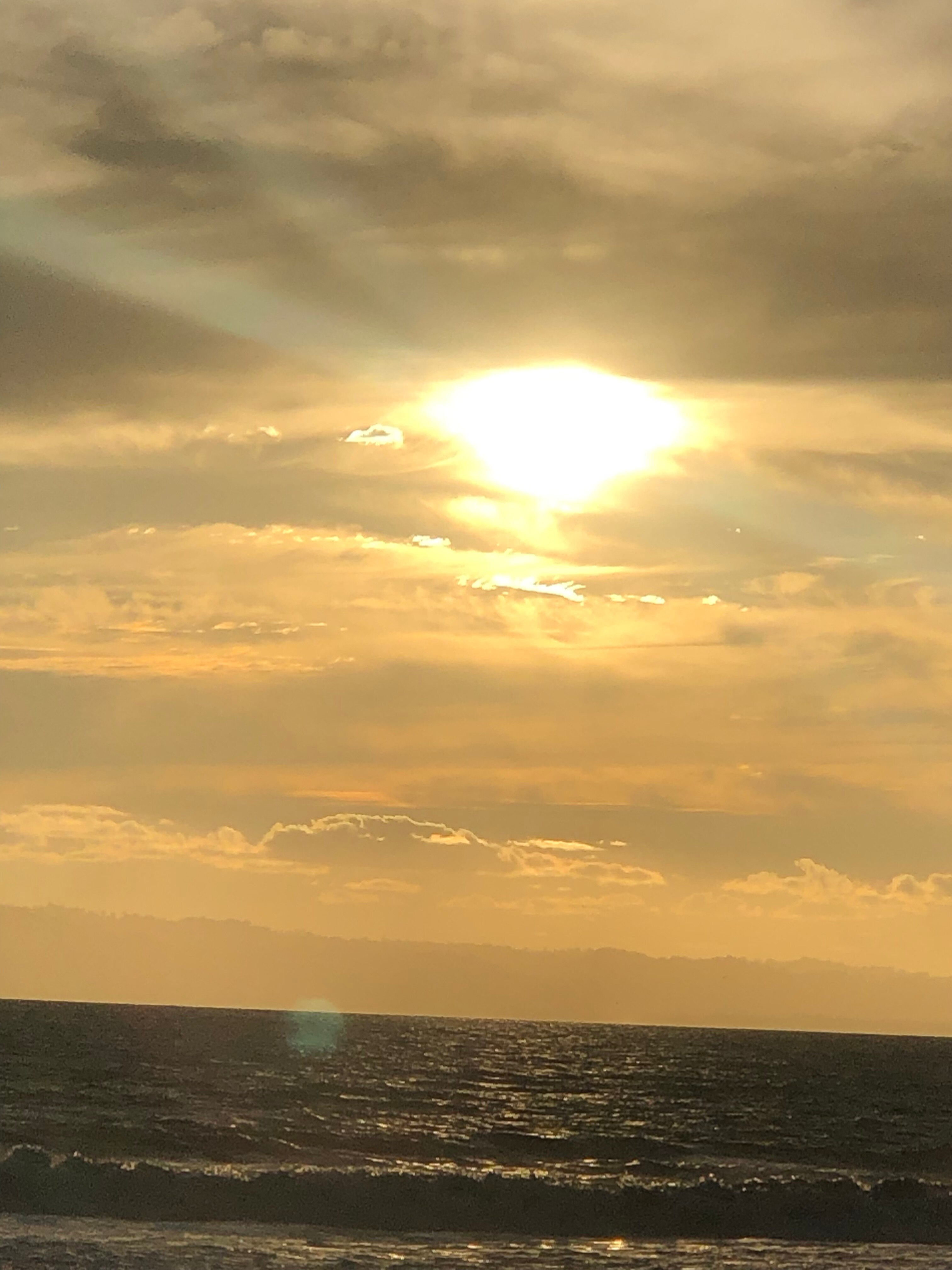 Coloso Del Mar-官方