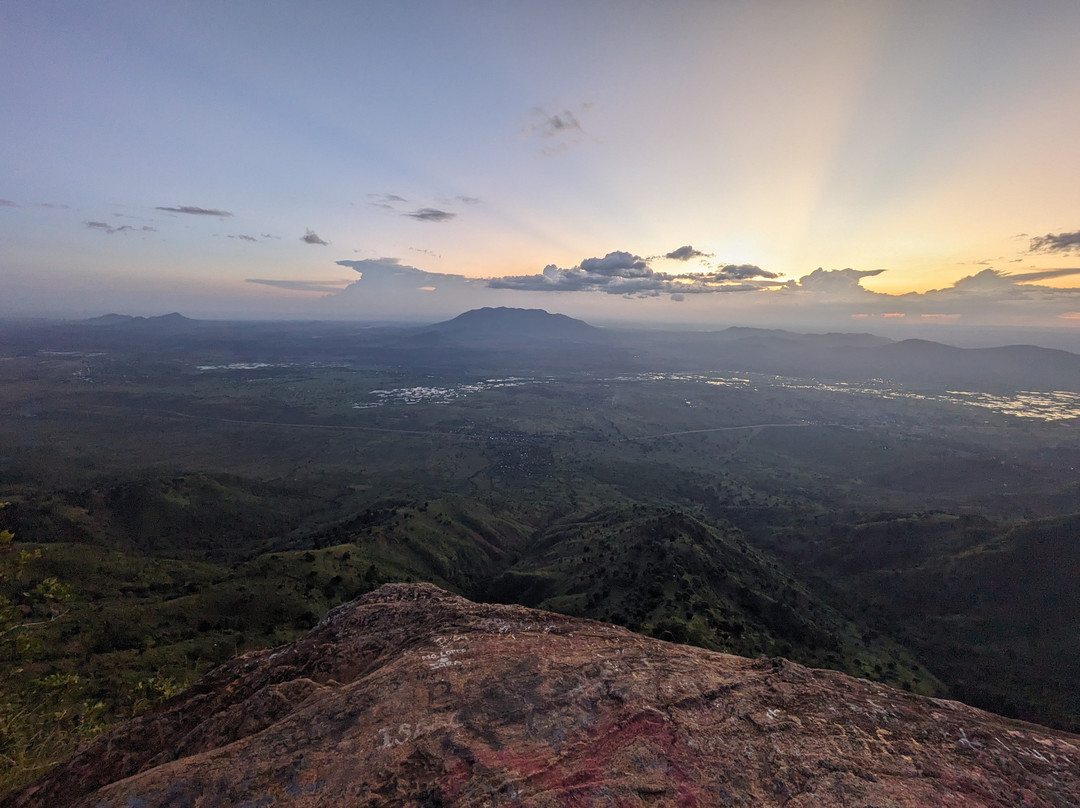 Irente Farm Lodge & Biodiversity Reserve主图