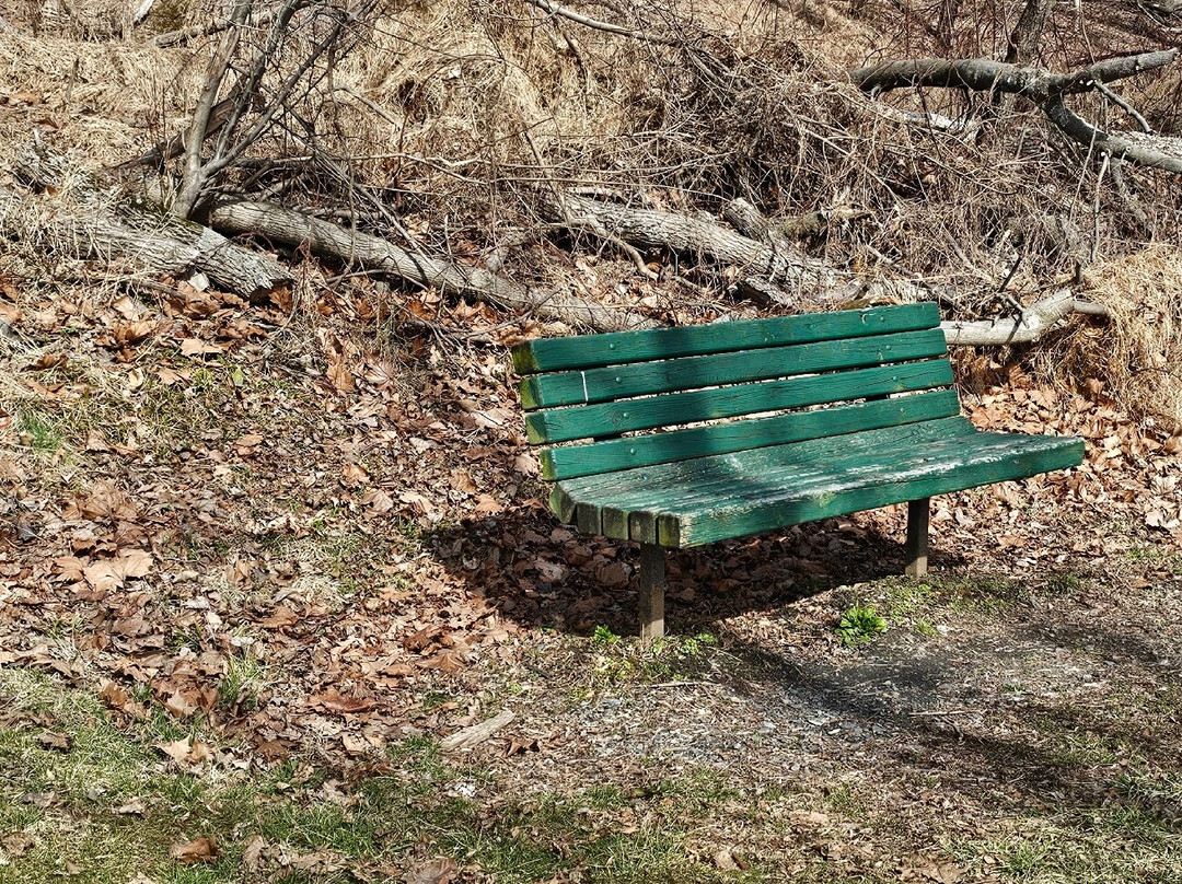 Ma and Pa Trail-Bel Air必去景点