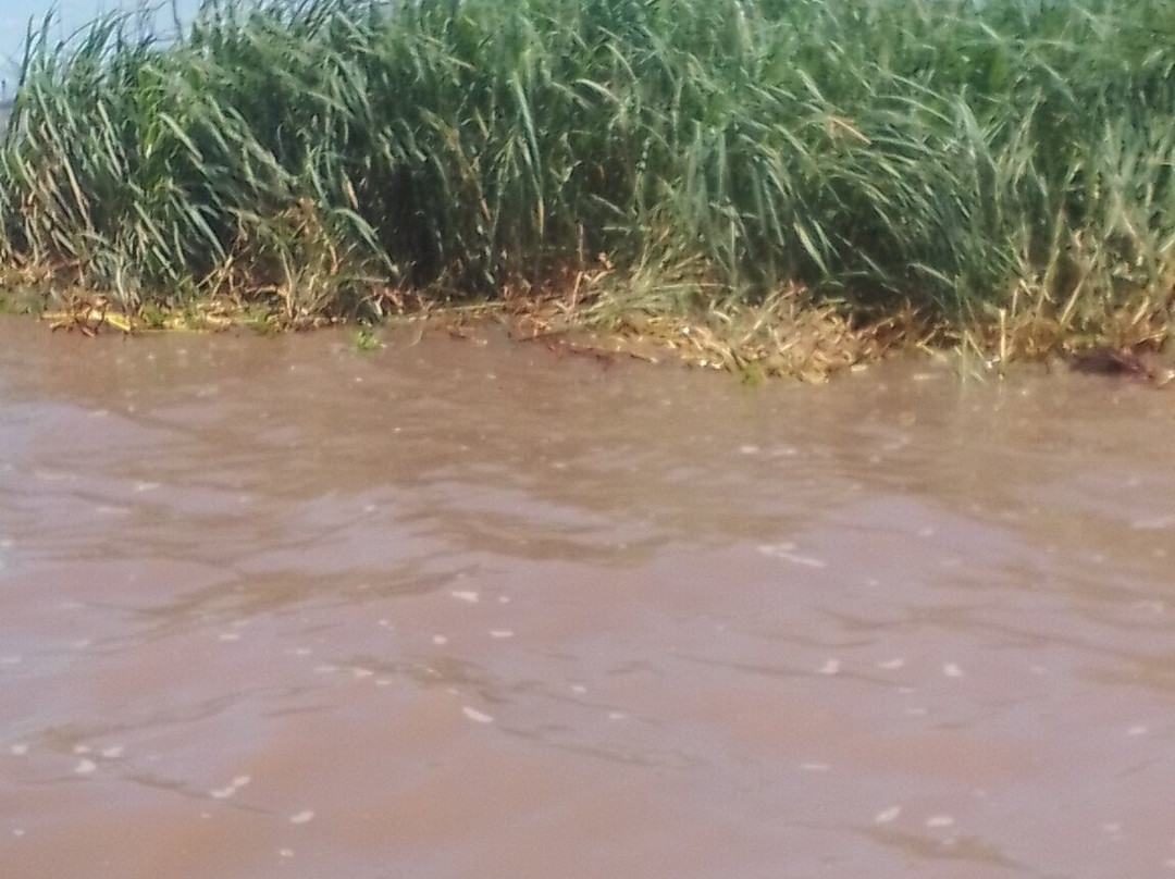 Lake Chilwa-Kachulu必去景点