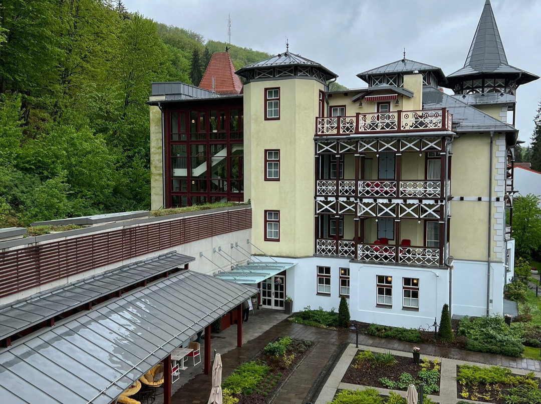 Hotel Pacsirta Restaurant主图