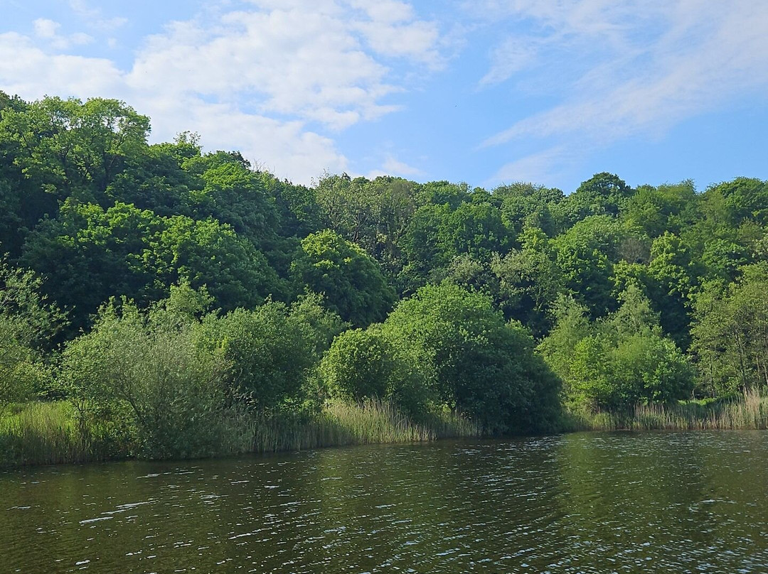 Brockholes Nature Reserve景点图片