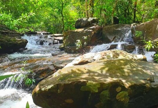 Tranh Stream-扬东必去景点