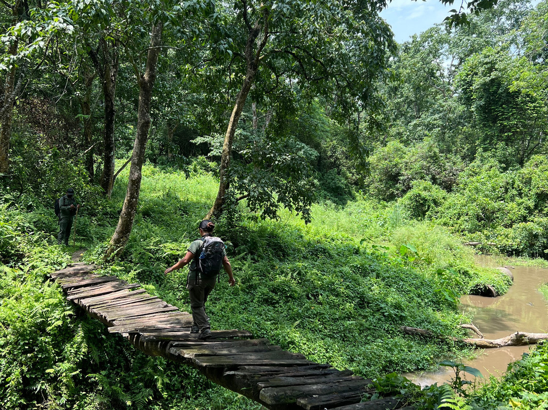 The Jungle Book Safari & Tours,  Chitwan National Park景点图片
