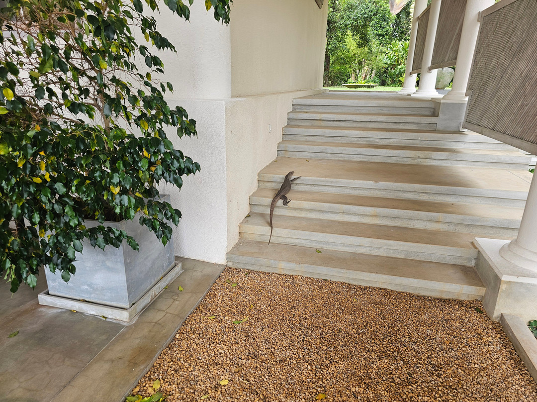 Haritha Villas & Spa主图