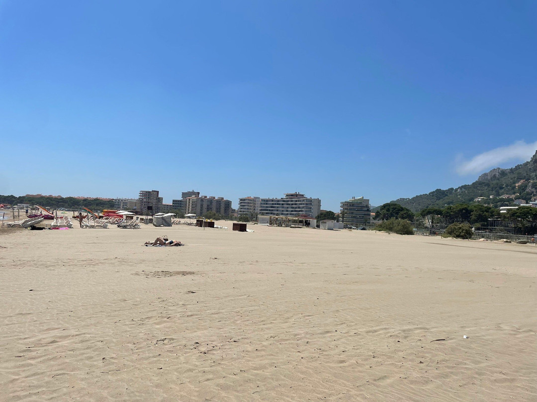 Platja de l'Estartit景点图片