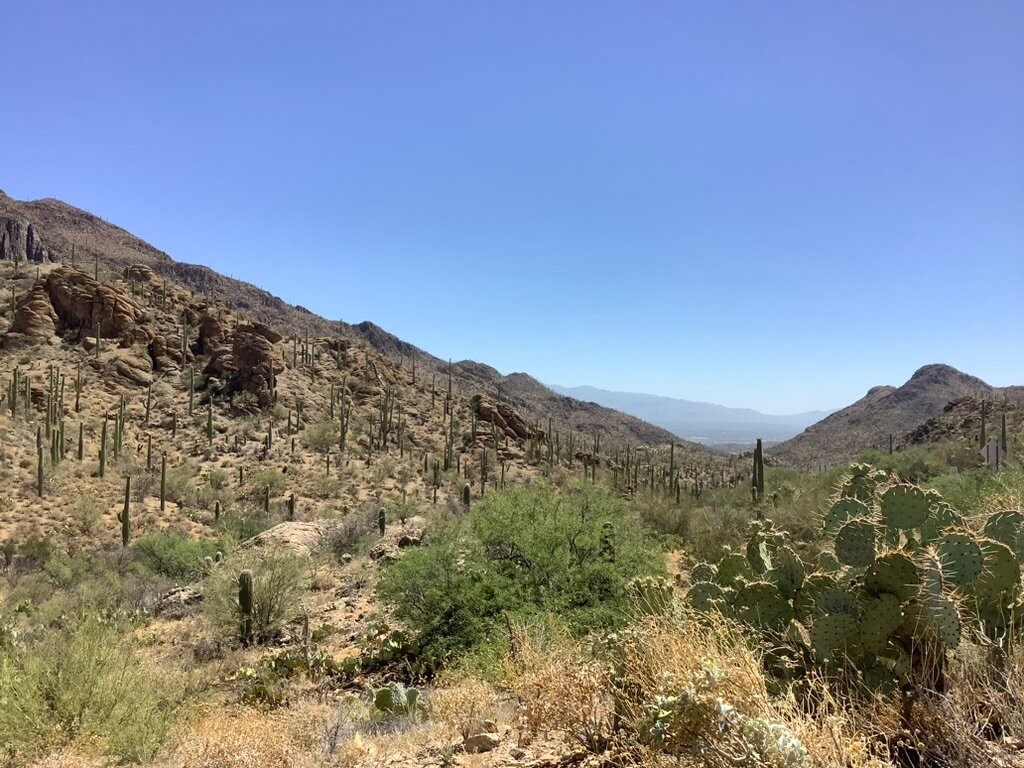 Gates Pass-图森必去景点