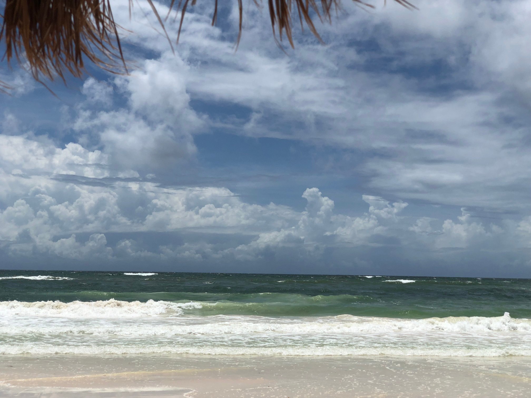 Coco Unlimited-泳池