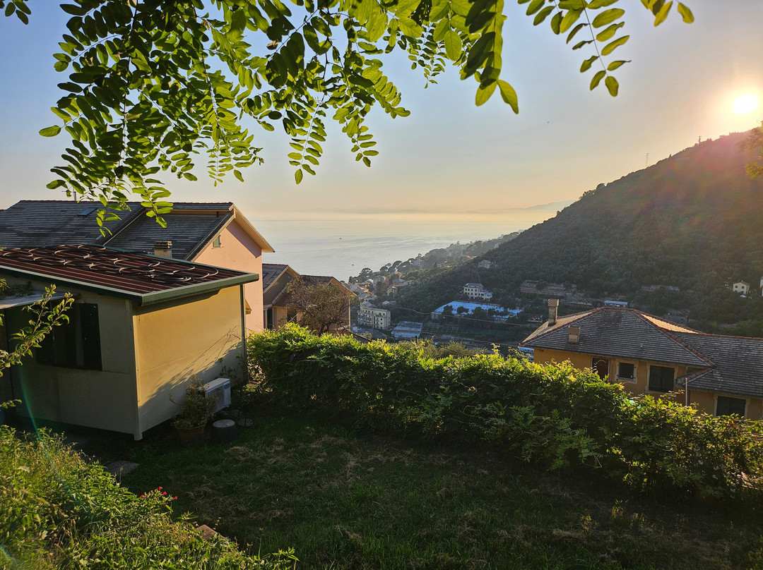 Ristorante Pizzeria Da Berto