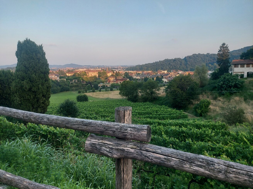 Agriturismo Il Belvedere主图