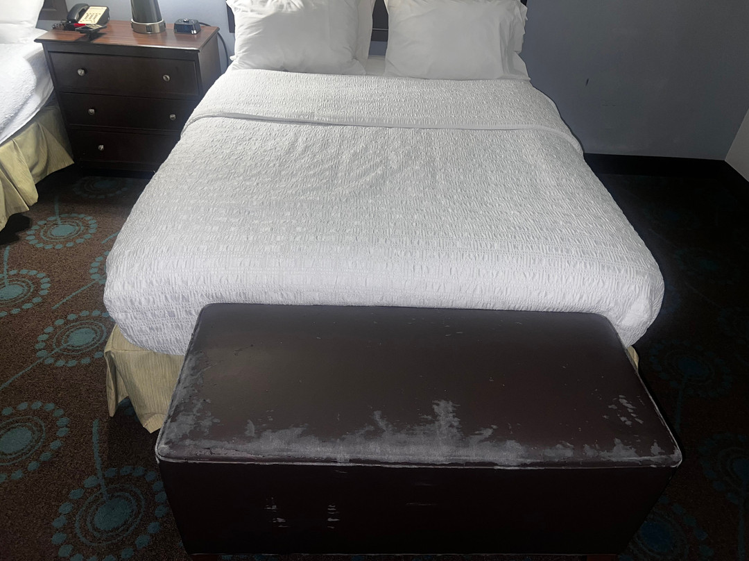 Hampton Inn & Suites Shreveport/Bossier City at Airline Drive主图