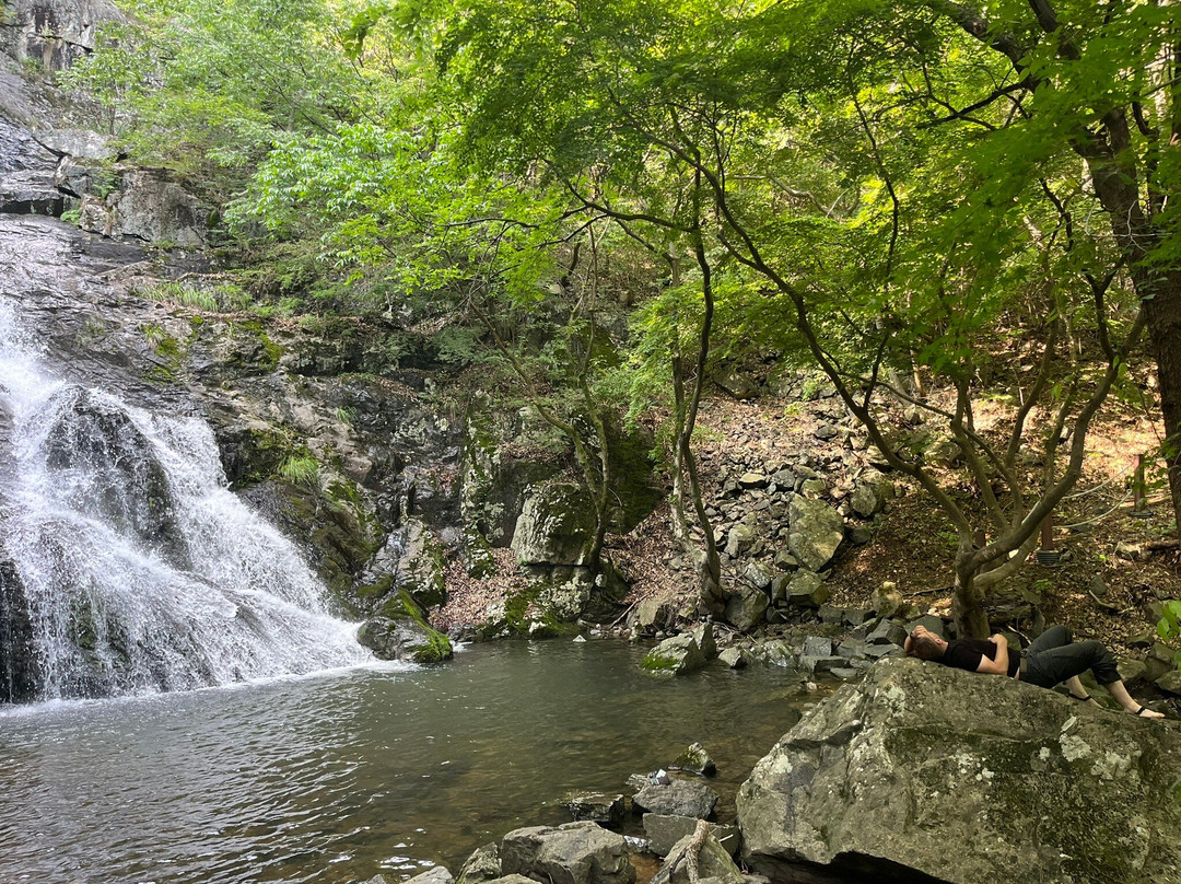 Gamagol ecological park-潭阳郡必去景点