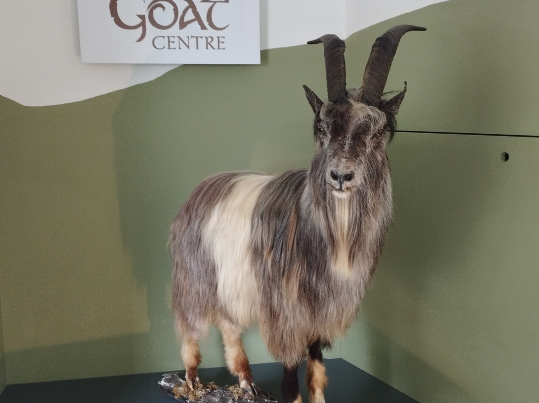 Old Irish Goat Centre-Mulranny必去景点