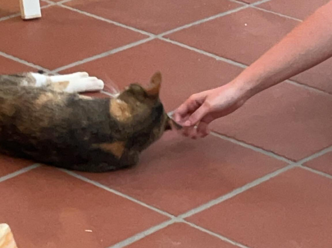 Castello Bianco Hotel主图