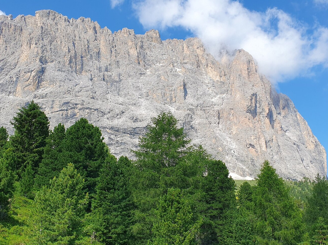 Seggiovia Gran Paradiso.景点图片