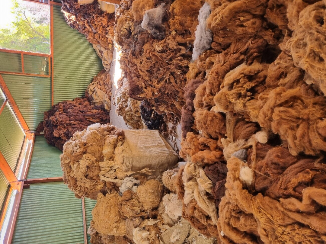 Mundo Alpaca Arequipa-阿雷基帕必去景点