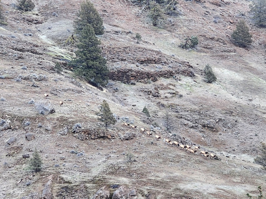 Ritter Hot Springs-Ritter必去景点