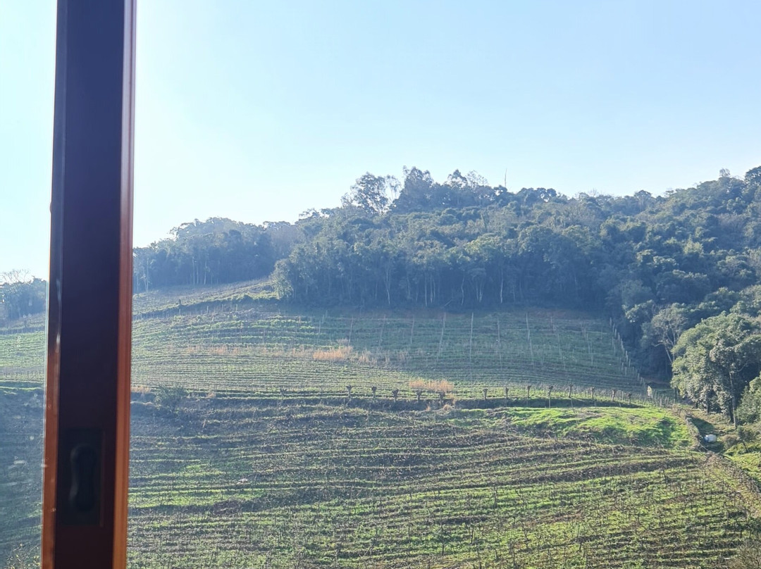 Peculiare Vinhos Únicos景点图片