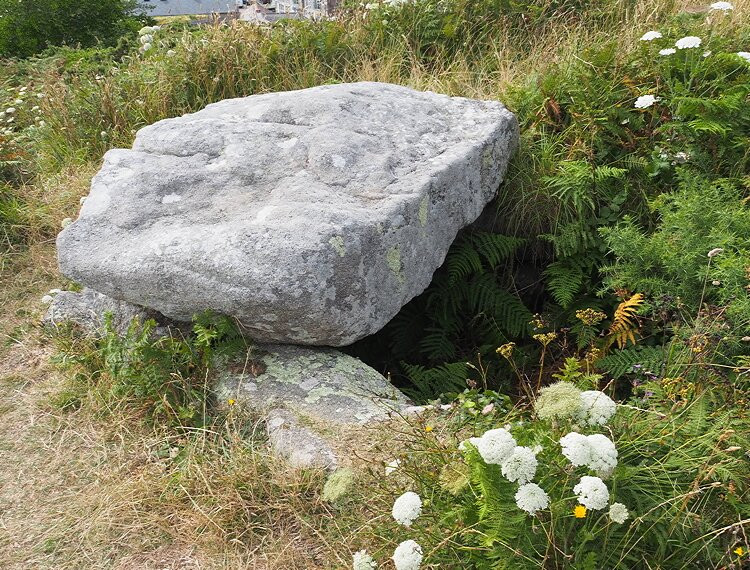 Buzza Hill Entrance Grave