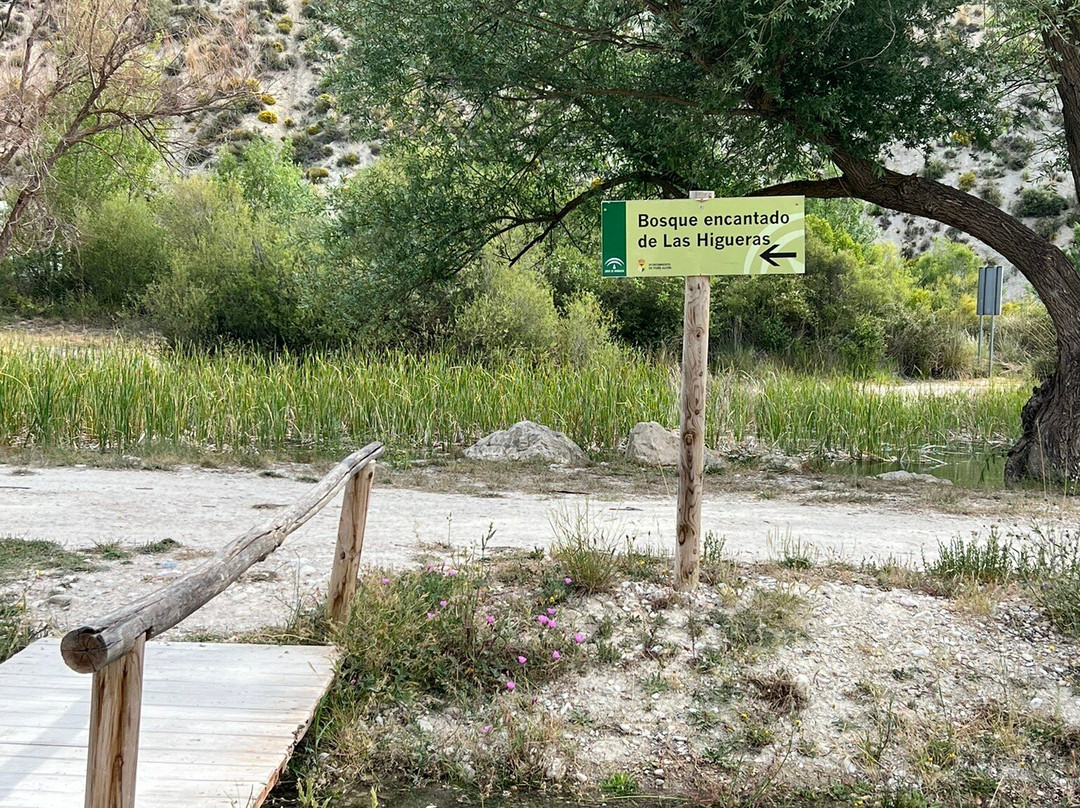 Bosque Encantado de Higueras-Pozo Alcon必去景点