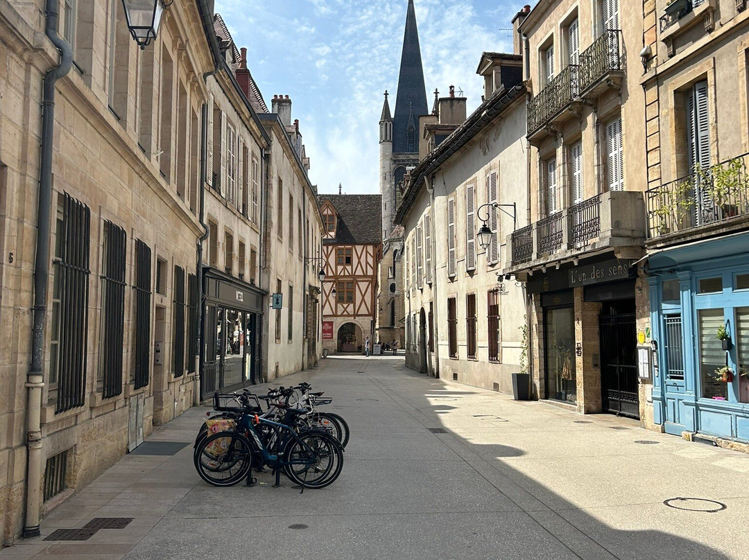 Aparthotel Adagio Access Dijon Republique主图