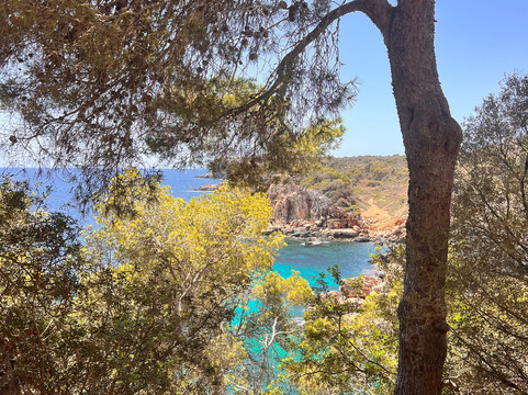 GoFurGO Mallorca-马洛卡帕尔马必去景点