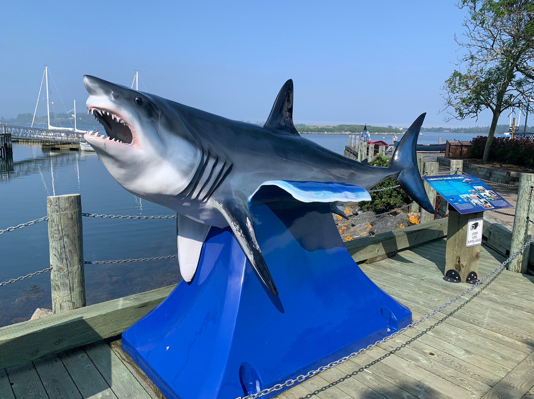 Killam Bros. Marina-Yarmouth必去景点