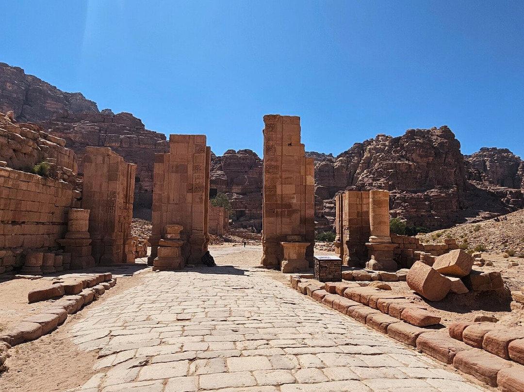 Camel Taxi-安曼必去景点