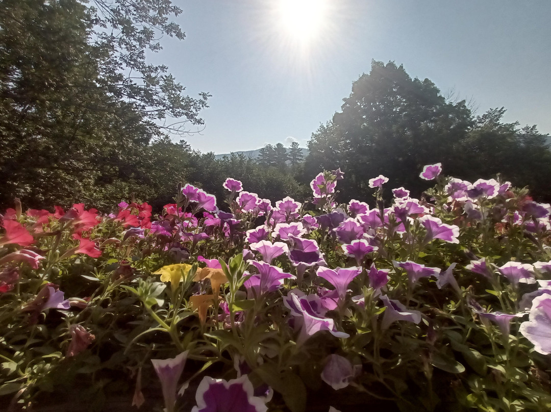 Woodstock Inn Brewery主图