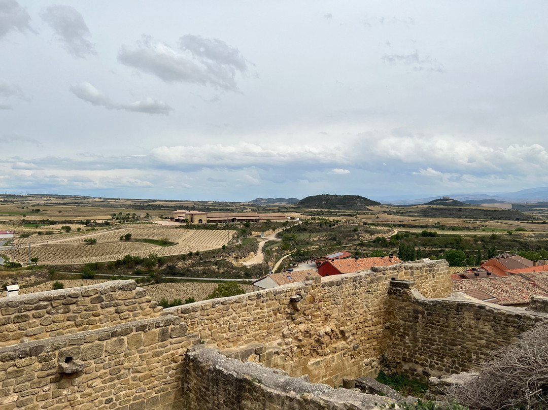 Castillo De San Vicente景点图片