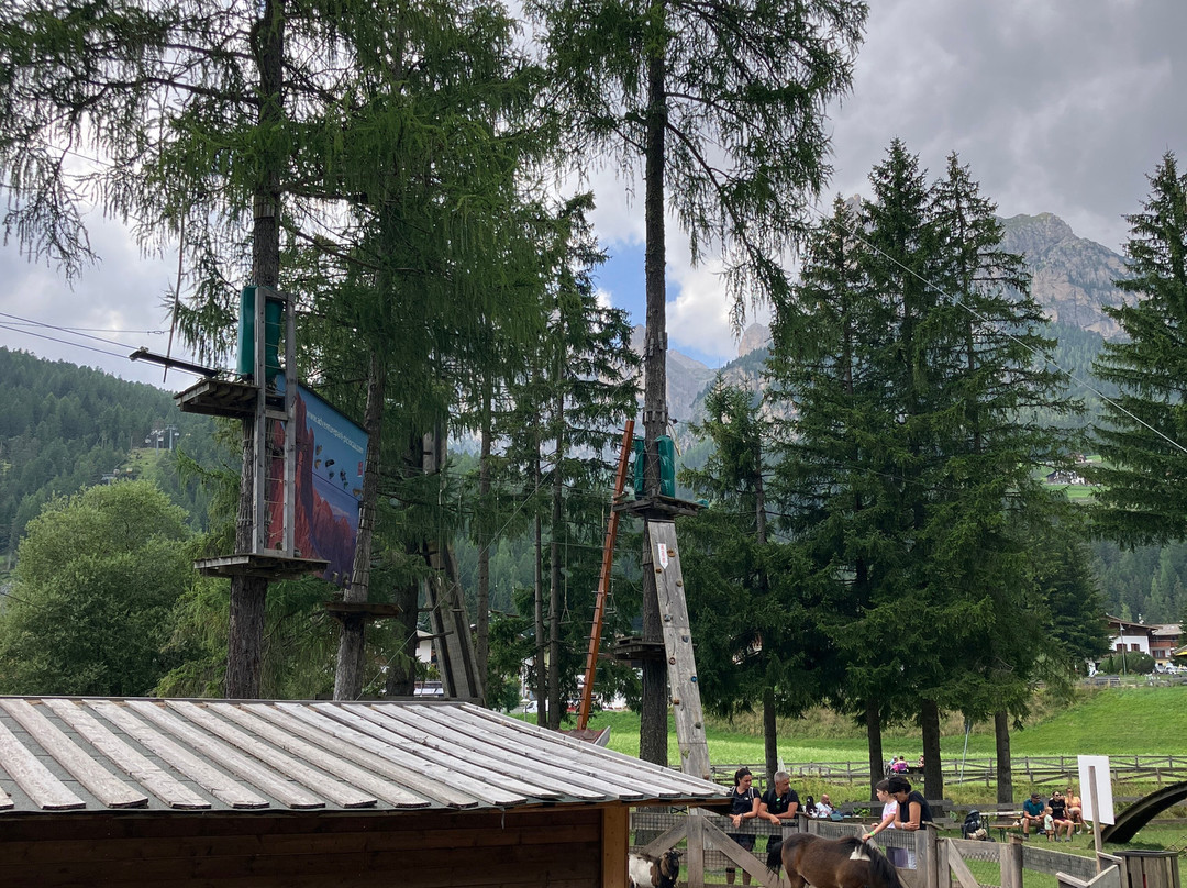 Adventure Park Piciocaa景点图片