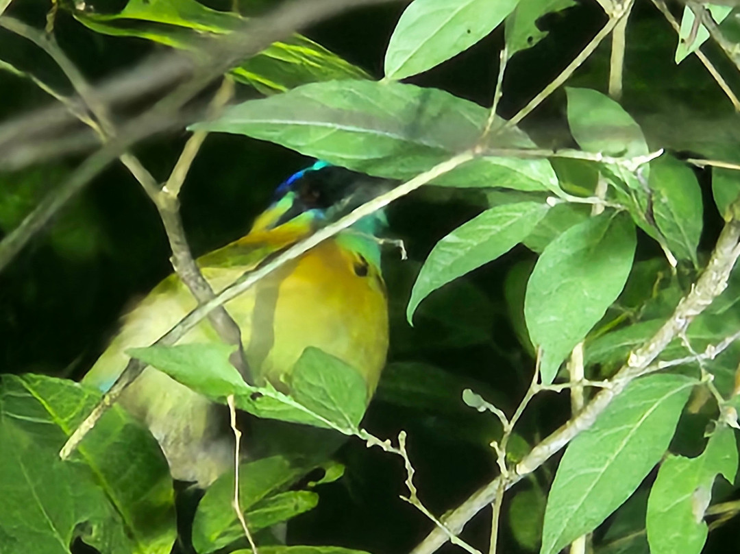 Valle Escondido Night Tour-圣埃伦娜必去景点