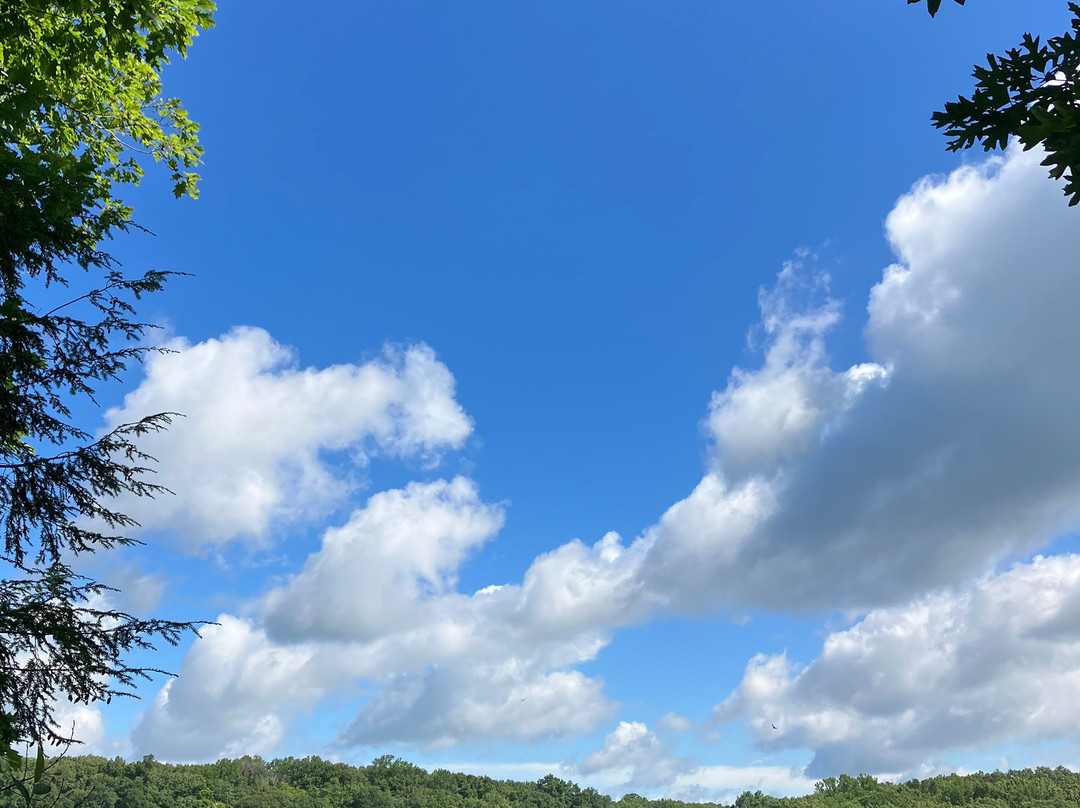 Shades State Park景点图片