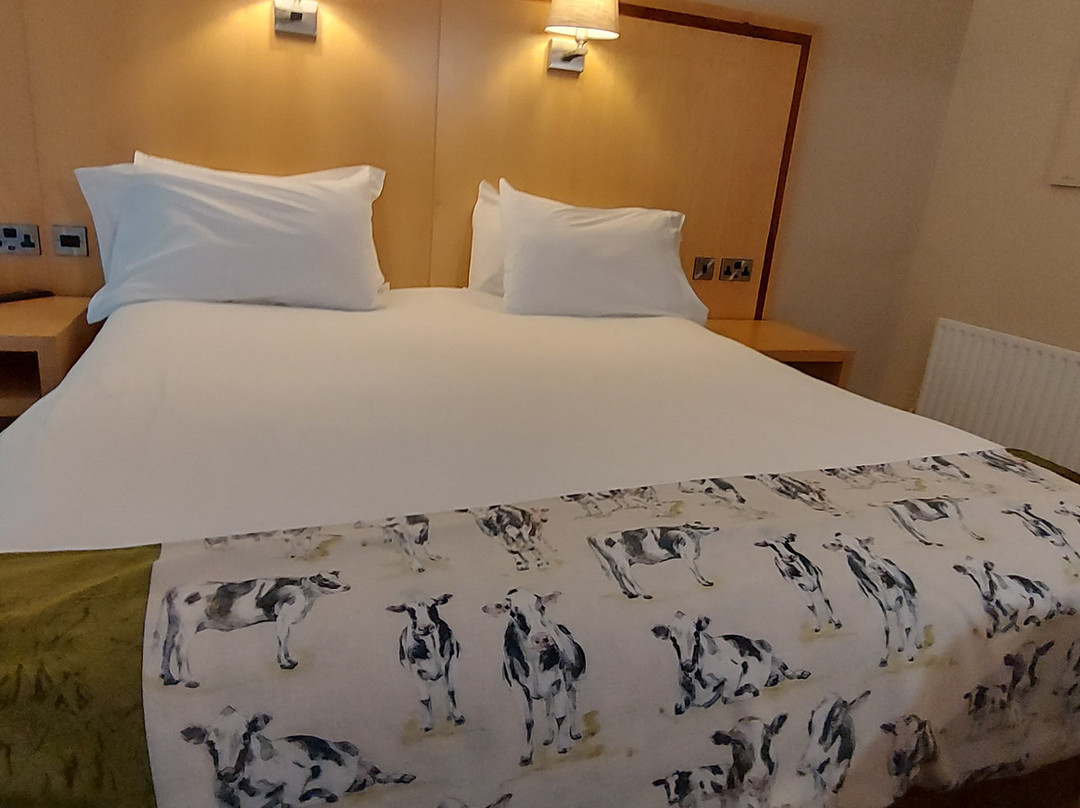 Hotel Minella主图