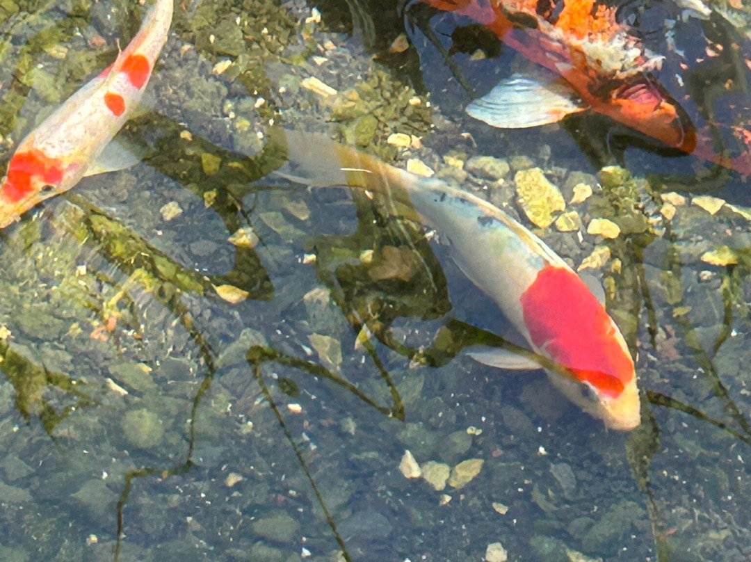 Ramat HaNadiv-Zichron Yaakov必去景点