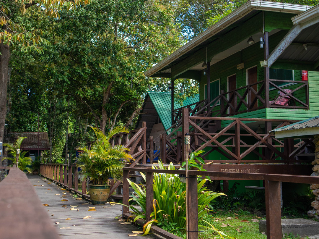 苏高绿观民宿主图