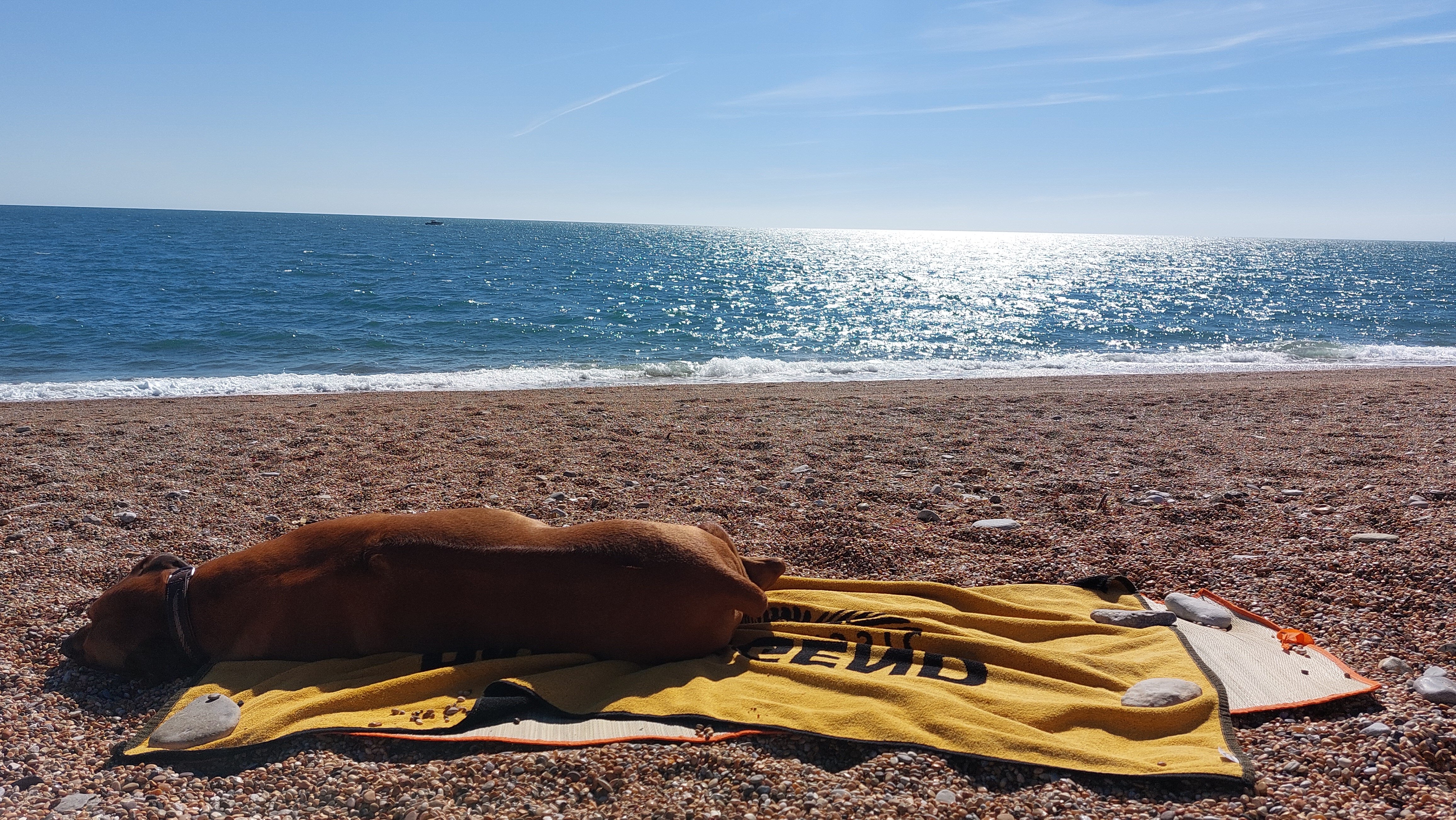 Chesil Beach Lodge-泳池