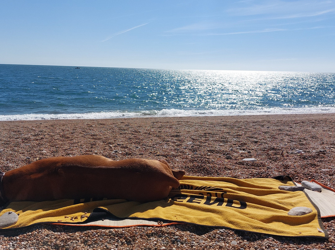 Chesil Beach Lodge主图