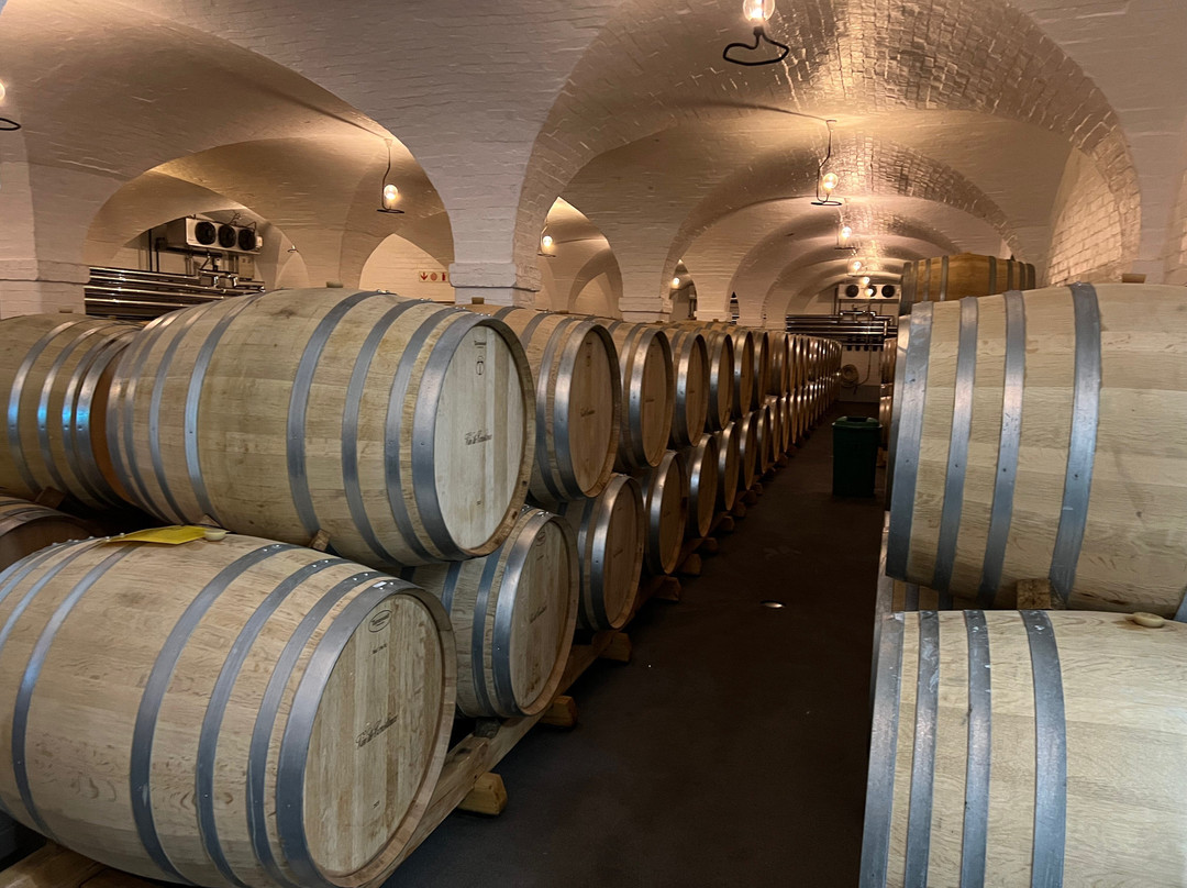 Klein Constantia-康士坦提亚必去景点