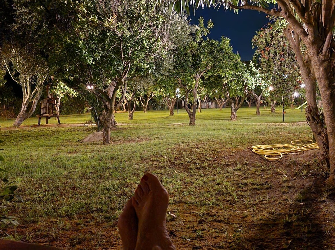 Residenza La Vigna主图