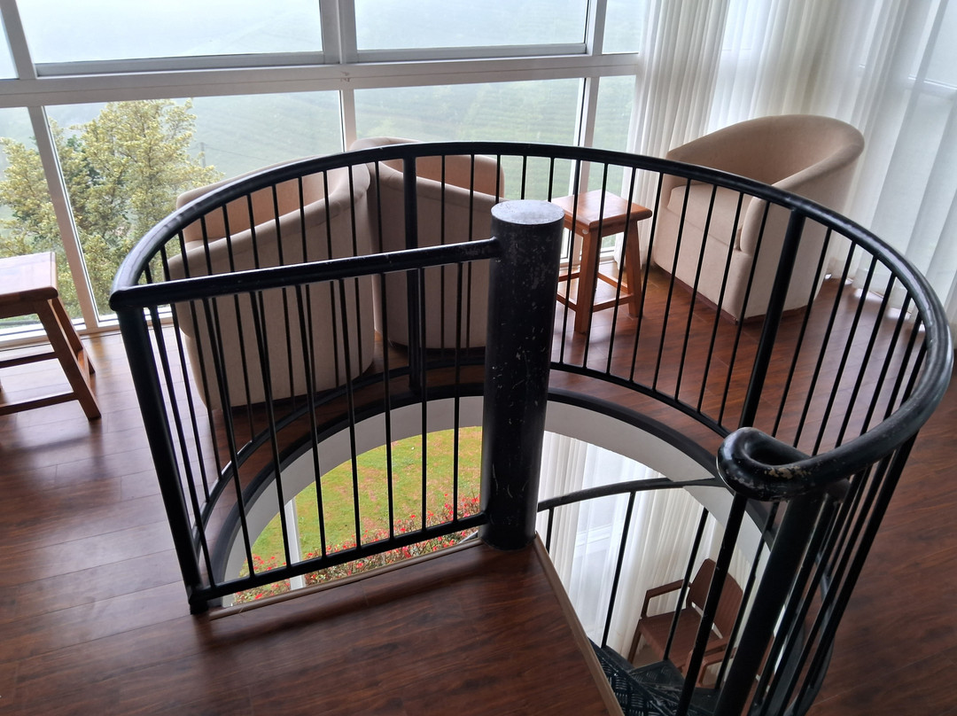 Harrington Heritage主图