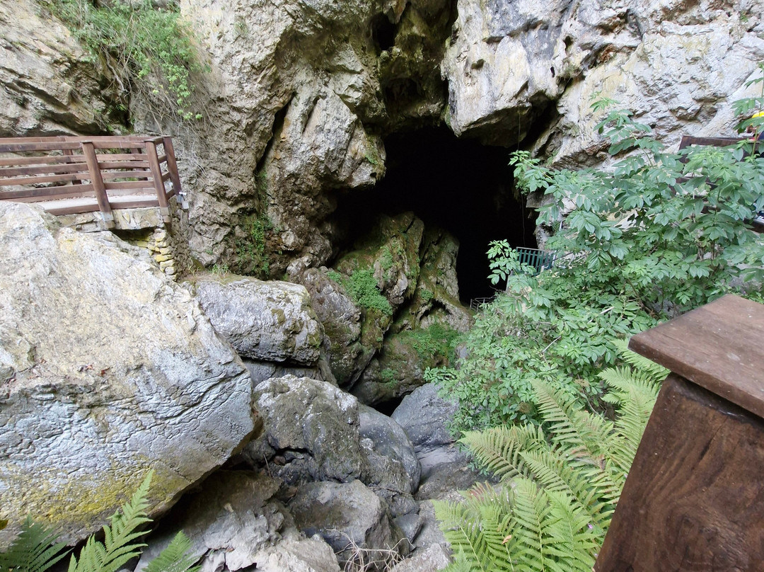 Grotte di Val de' Varri景点图片