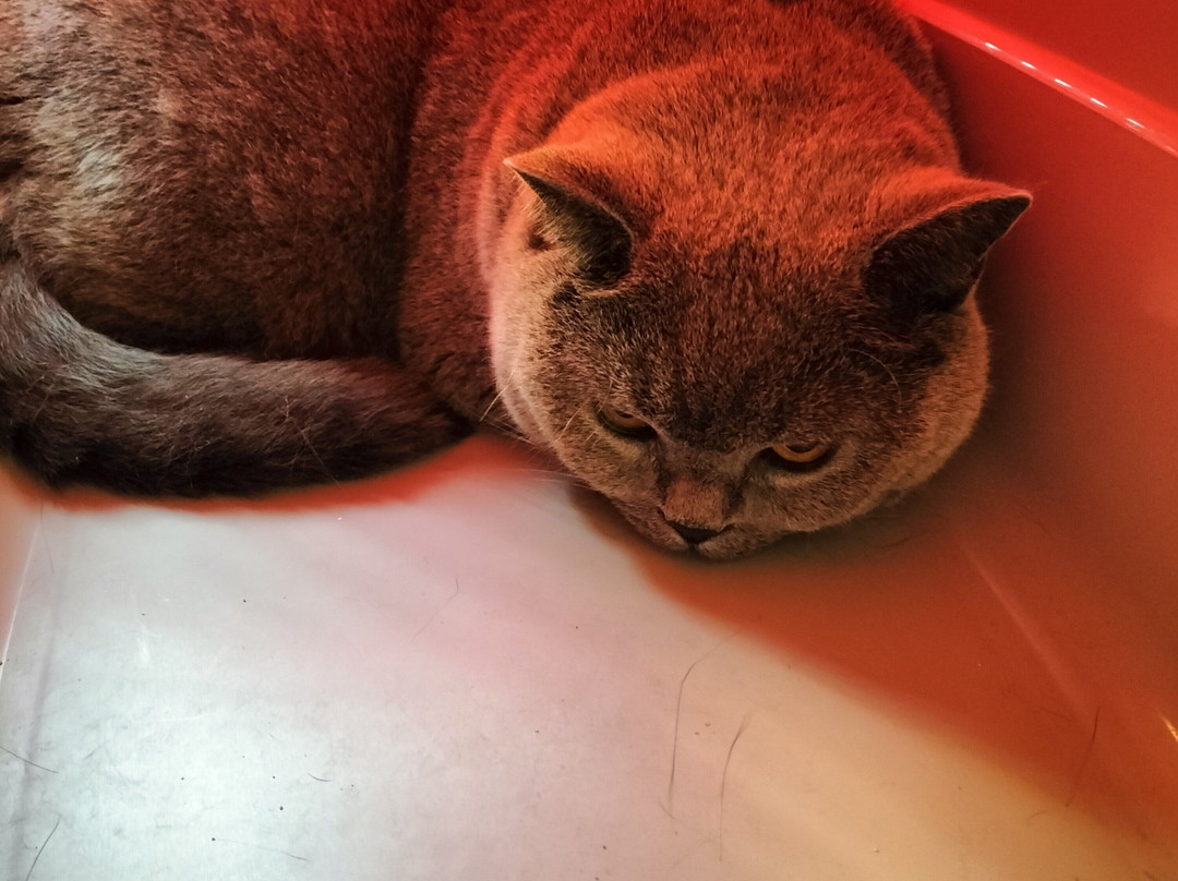 安蒂科卡萨莱酒店主图