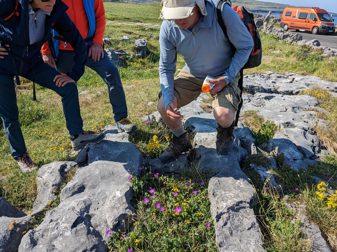 Heart of Burren Walks-Carran必去景点
