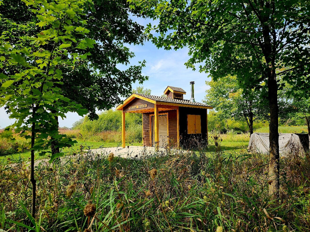 Jay C. Hormel Nature Center景点图片