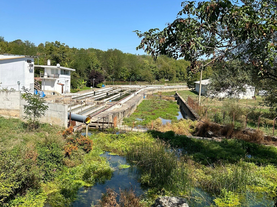 Musina Roman Water Catchment-Musina必去景点