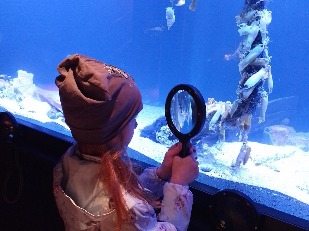 NAVIGO - National Fisheries Museum-东代恩凯尔克必去景点